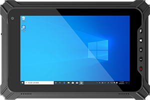 Fieldbook P80 Logic Instrument